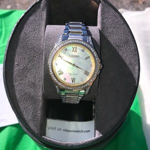 Citizen Echo Drive Watch